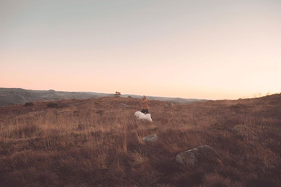 Bilde 7 av 10 i jobbannonse-galleriet