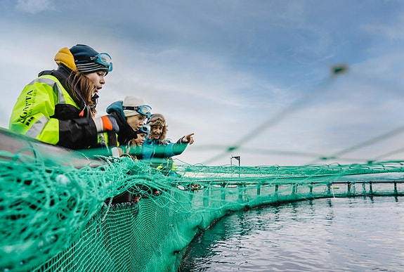 Bilde 1 av 1 i jobbannonse-galleriet