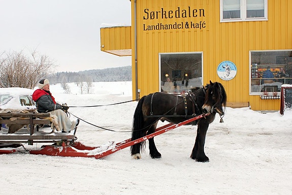 Bilde 1 av 4 i jobbannonse-galleriet