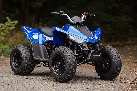 Linhai ATV 110 3 of 8