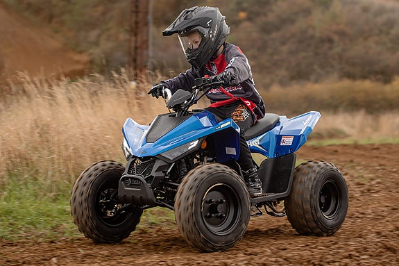Linhai ATV 110 5 of 8