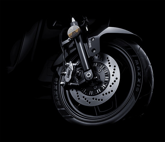 Segway E300SE 6 of 18