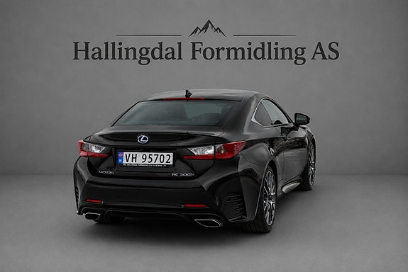 Lexus RC-Serie 7 of 20