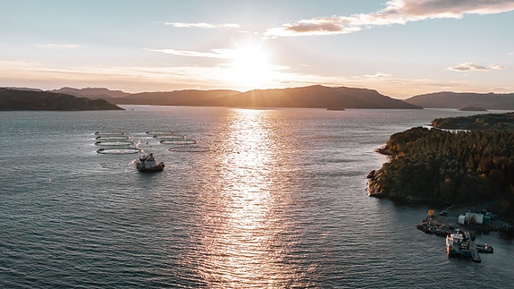 Bilde fra arbeidsgiver