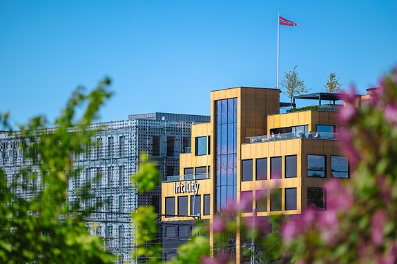 Bilde 2 av 8 i jobbannonse-galleriet