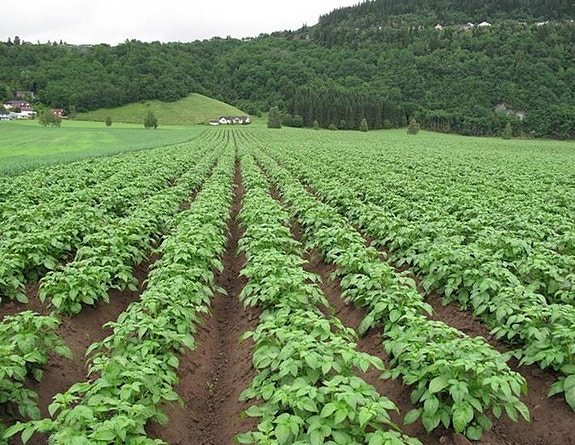 Bilde 3 av 5 i jobbannonse-galleriet