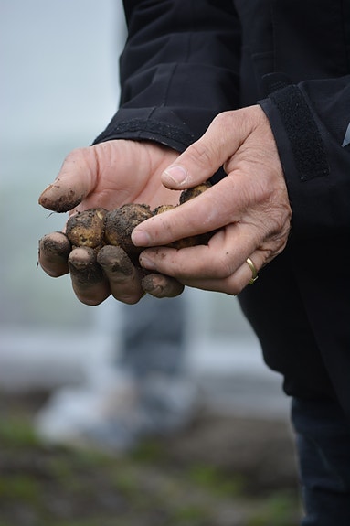 Bilde 4 av 5 i jobbannonse-galleriet