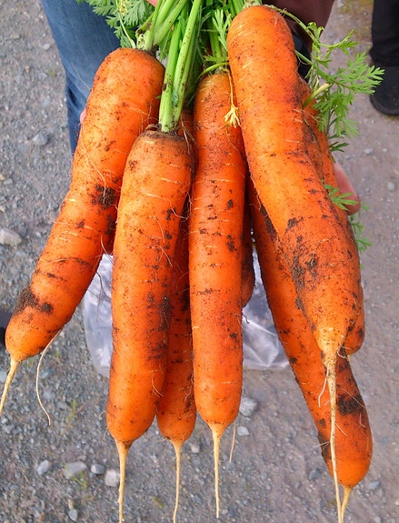 Bilde 5 av 5 i jobbannonse-galleriet