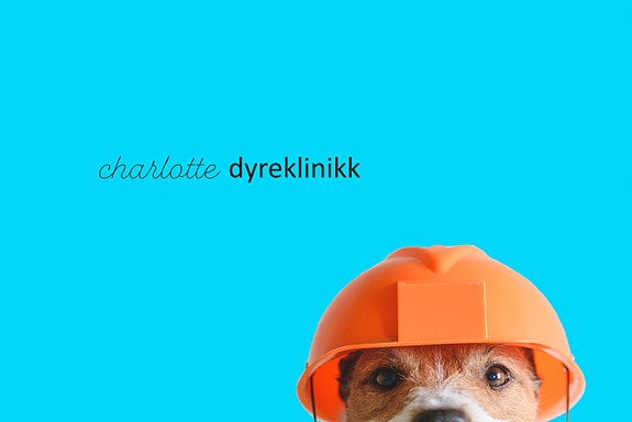 Bilde fra arbeidsgiver
