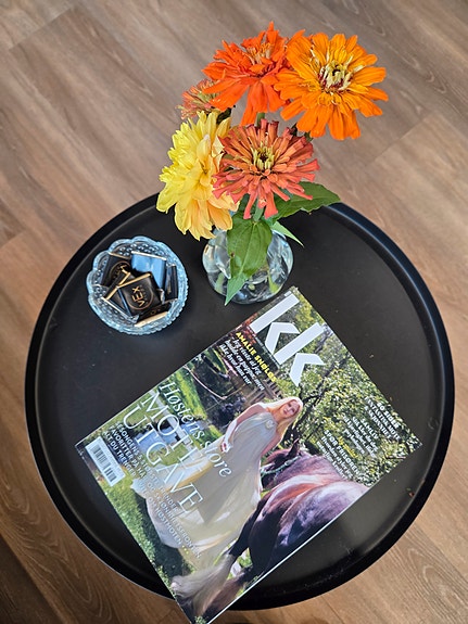 Bilde 5 av 5 i jobbannonse-galleriet