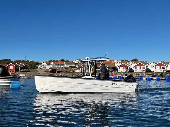 Sting 725 Pro T-top m/Mercury F150 hk - stor romslig båt for fiske/transport