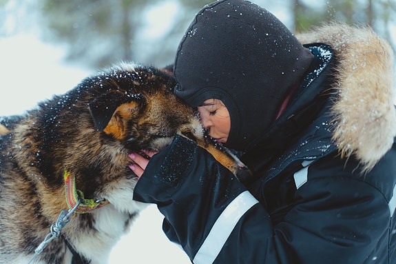 Bilde 7 av 7 i jobbannonse-galleriet