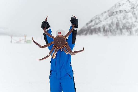 Bilde 6 av 7 i jobbannonse-galleriet