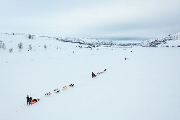 Bilde 5 av 7 i jobbannonse-galleriet