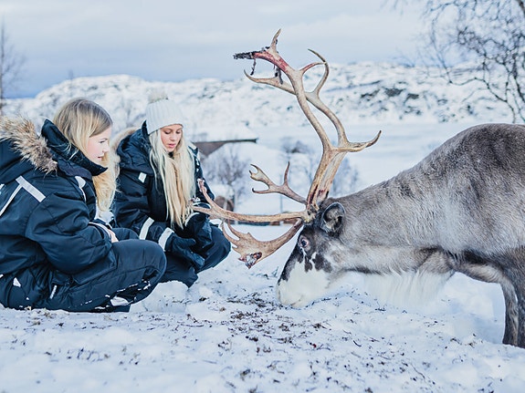 Bilde 3 av 7 i jobbannonse-galleriet