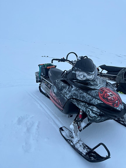 Polaris Dragon RMK 2 of 6