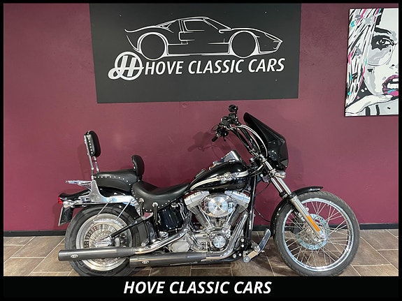 Harley-Davidson SOFTAIL STANDARD 100th Anniversary