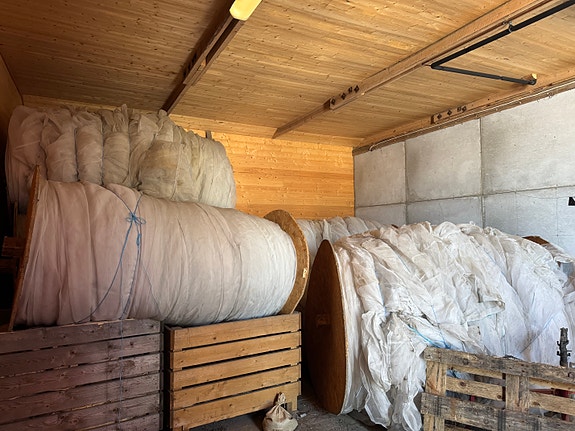 Nett for gulrot