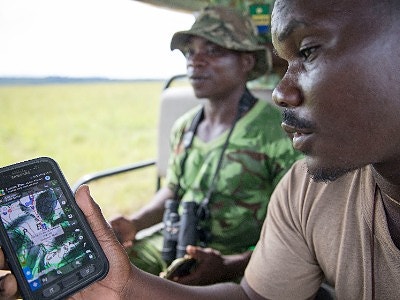 Bilde 1 av 1 i jobbannonse-galleriet