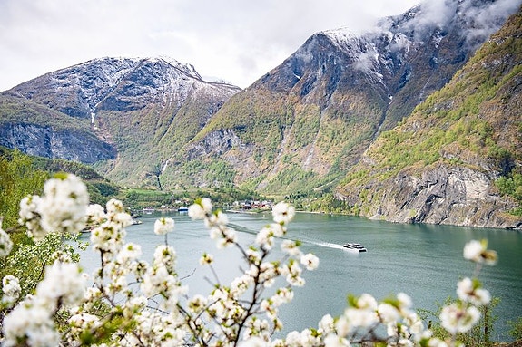 Bilde 3 av 5 i jobbannonse-galleriet