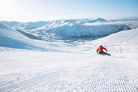 Bilde 2 av 5 i jobbannonse-galleriet