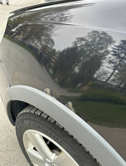 Volkswagen Polo 8 of 18