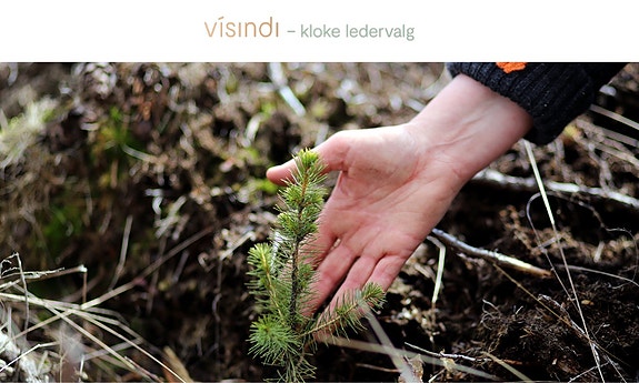 Bilde 1 av 1 i jobbannonse-galleriet