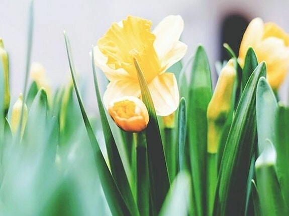 Bilde 3 av 6 i jobbannonse-galleriet