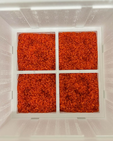 Bilde 5 av 6 i jobbannonse-galleriet