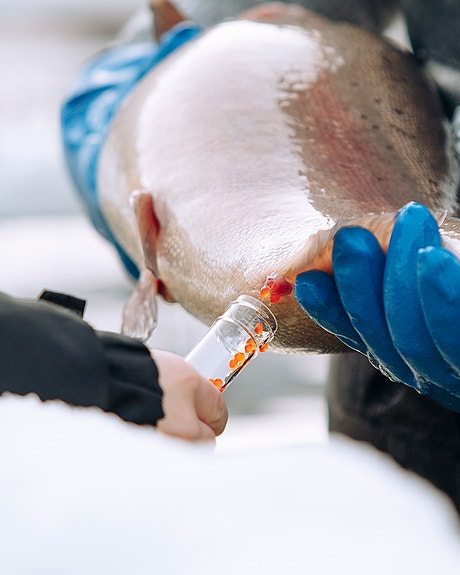 Bilde 1 av 6 i jobbannonse-galleriet