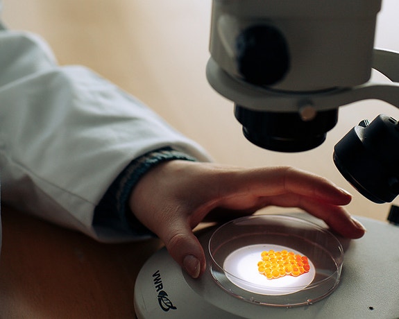 Bilde fra arbeidsgiver