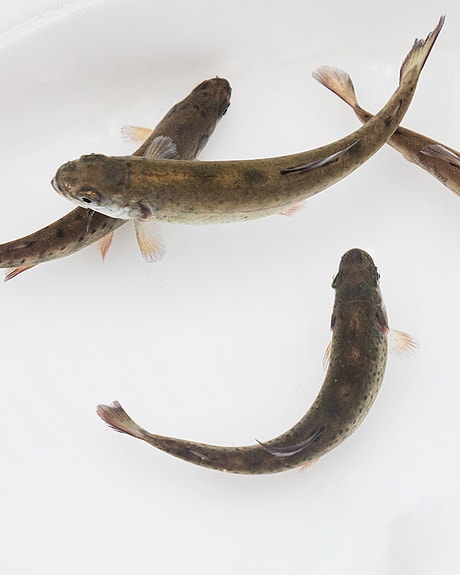 Bilde 6 av 6 i jobbannonse-galleriet