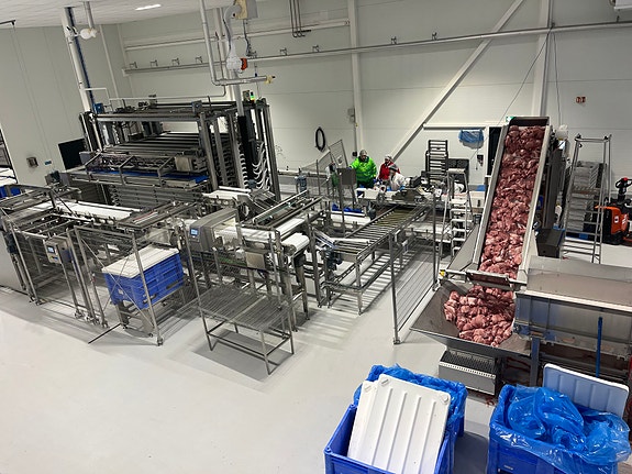 En av våre produksjonslinjer (platefryser)