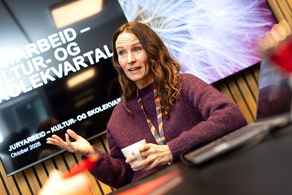 Bilde 5 av 8 i jobbannonse-galleriet