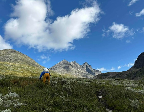 Bilde 8 av 8 i jobbannonse-galleriet