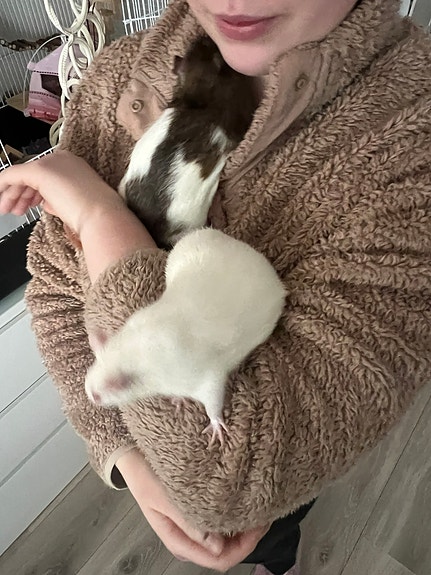 Product image 6 of 9