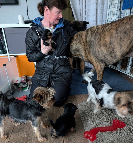 Product image 6 of 10