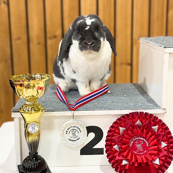 Product image 7 of 10