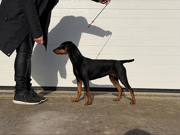 Product image 7 of 10