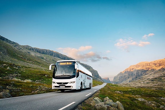 Bilde 4 av 7 i jobbannonse-galleriet