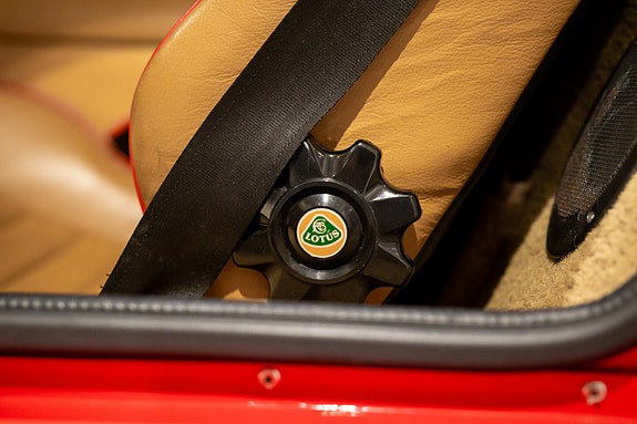 Lotus 30 of 30