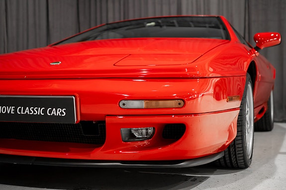 Lotus 14 of 30