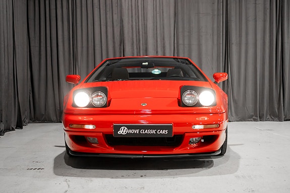 Lotus 8 of 30