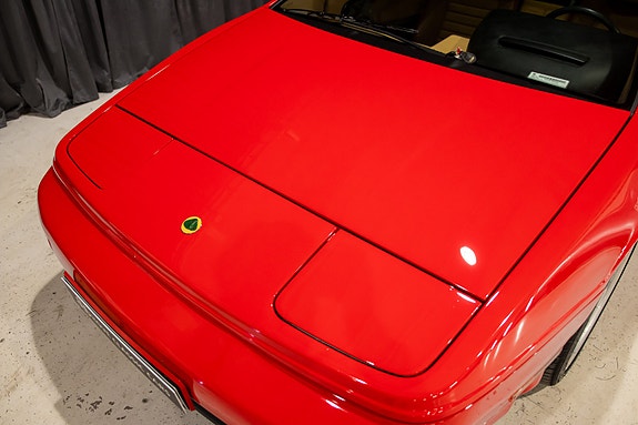 Lotus 13 of 30