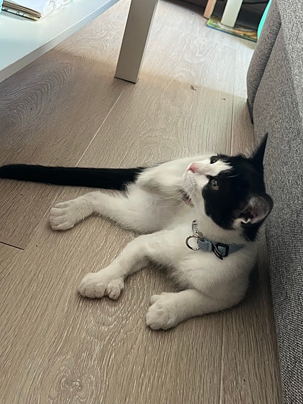 Product image 10 of 10