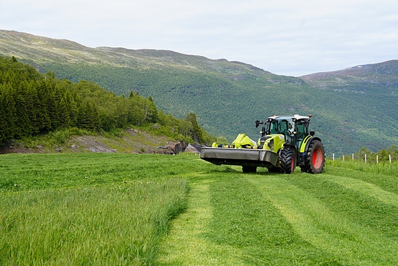 Bilde 4 av 6 i jobbannonse-galleriet