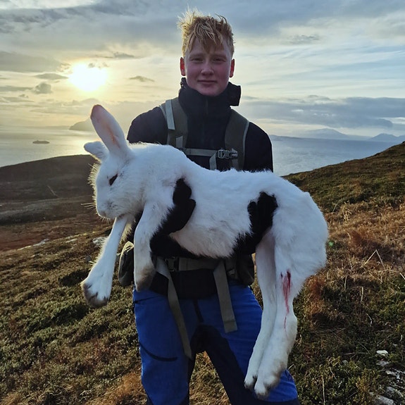 Bilde fra arbeidsgiver