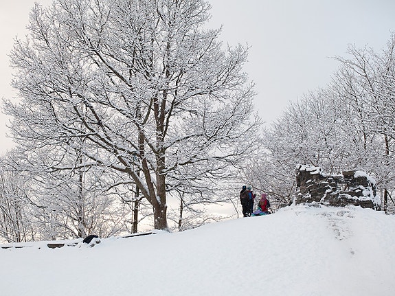 Bilde 6 av 7 i jobbannonse-galleriet