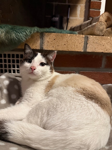 Product image 8 of 10