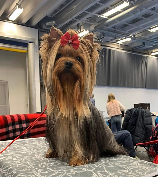 Product image 7 of 7